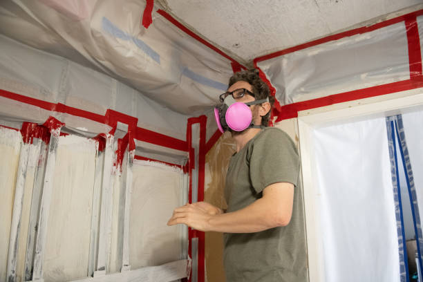 New Berlinville, PA Mold Removal Company